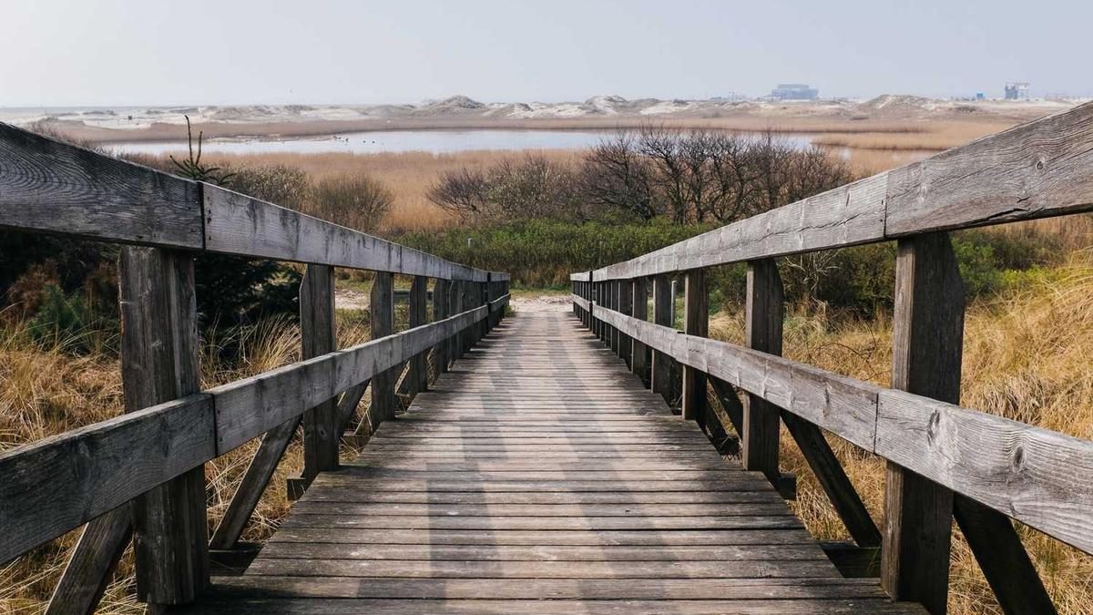 Die besten Tipps für ein gelungenes Home-Spa-Erlebnis