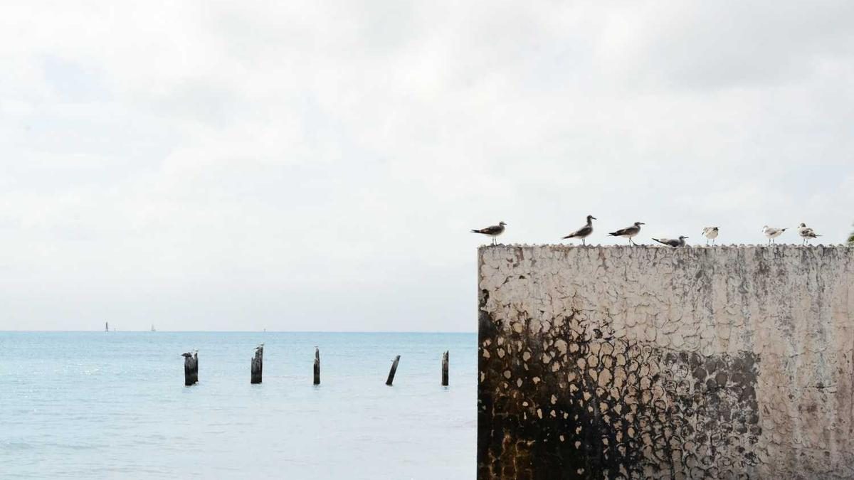 Effektive Methoden zur Stressbewältigung für mehr Balance