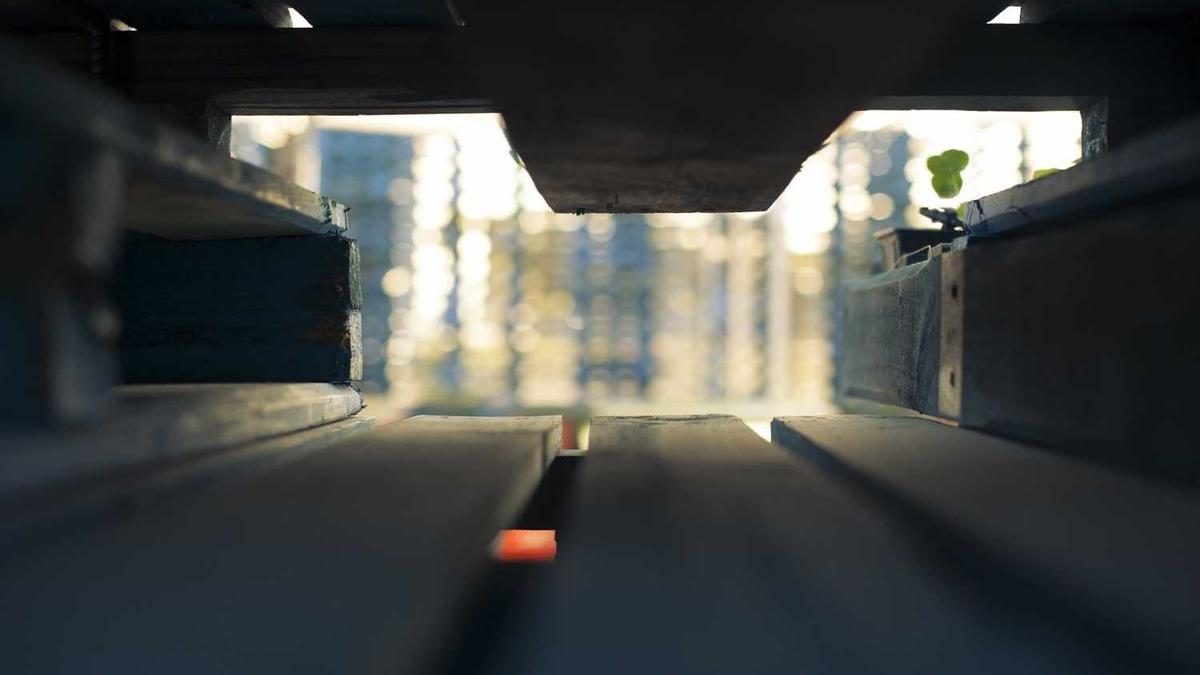 Frische Ideen für deinen Morgen Beauty-Ritual