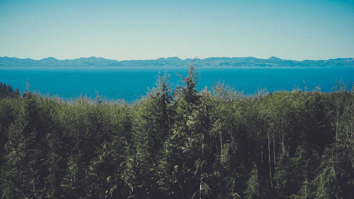 Körperpositivität: Schönheit neu definiert