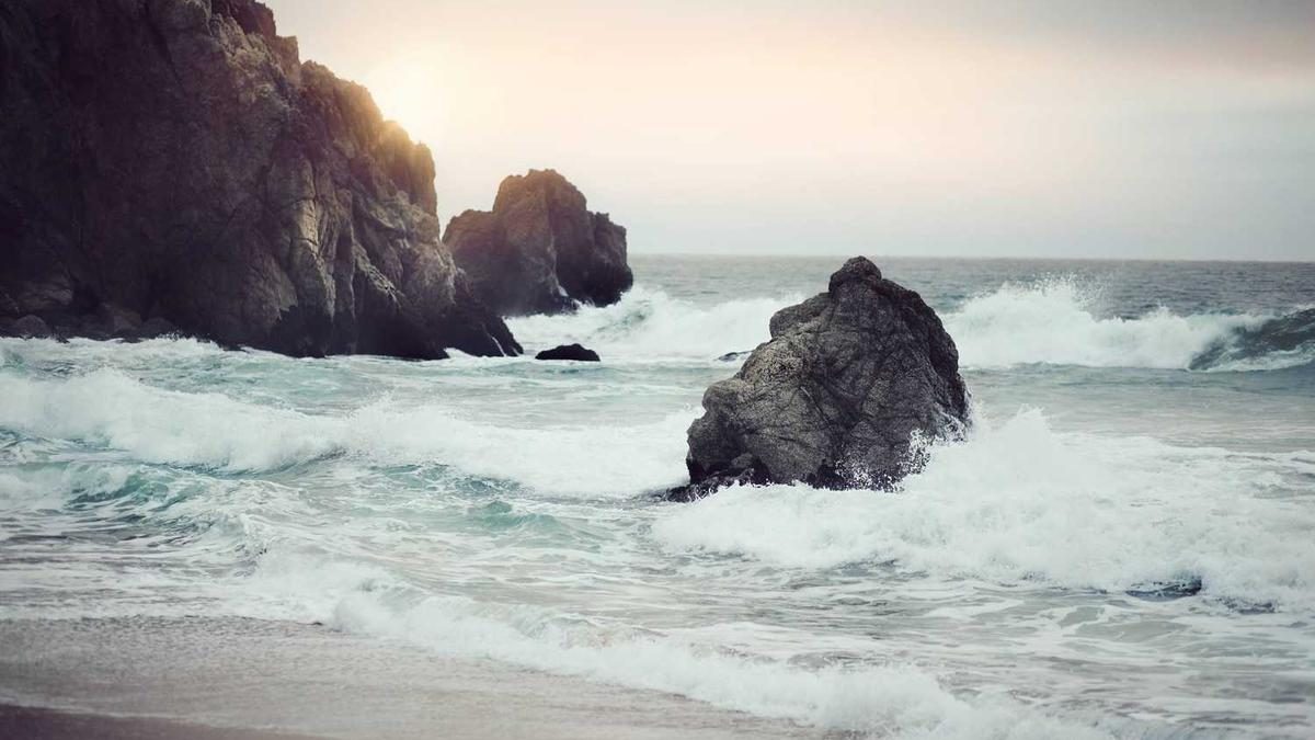 Parfüm-Trends: Düfte für jede Persönlichkeit