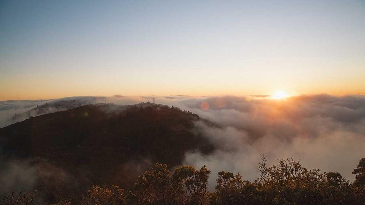 Pflege deine Haare mit diesen einfachen Hausmitteln