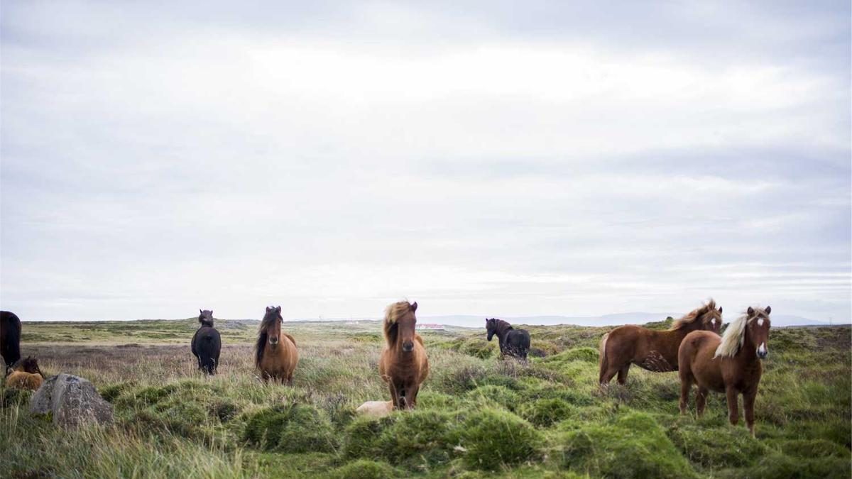 Schönheit von innen: Superfoods für ein strahlendes Aussehen