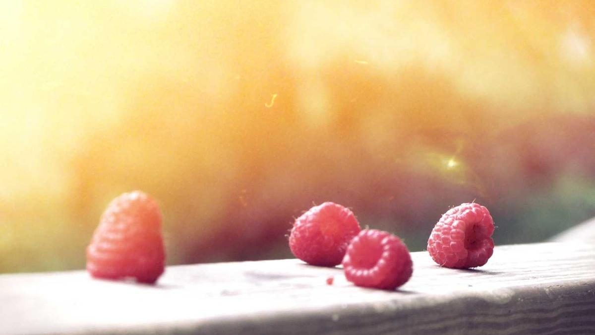 Wie du dein Zuhause in eine Wohlfühloase verwandelst