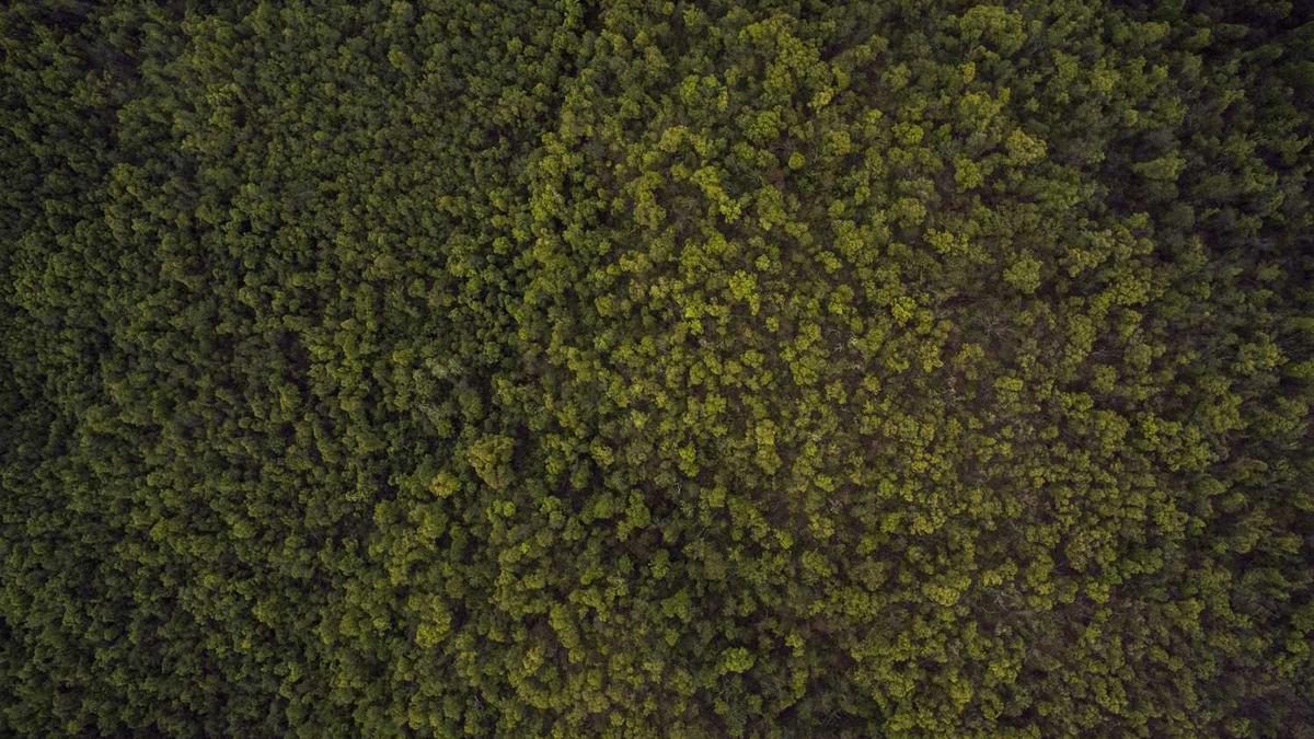 Wie du mit Accessoires jeden Look aufwertest